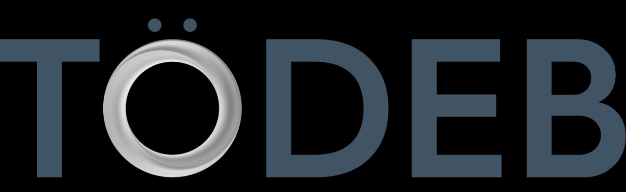 Duyuru 1